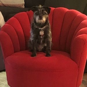 Meet your Posher, Vicki